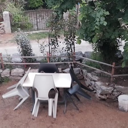 Maison De Caractere Au Coeur De La Corse Rurale Калакуча Екстериор снимка